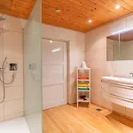 Apartment Wieshof Kaltenbach