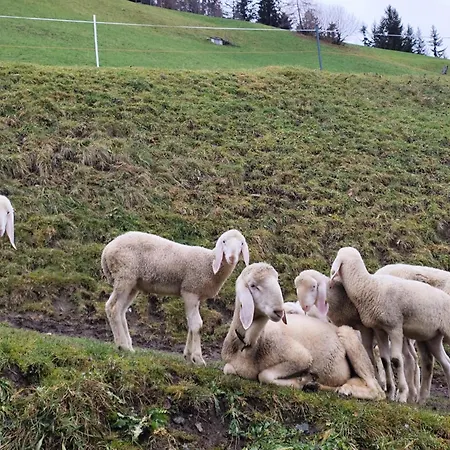 Wieshof * Kaltenbach