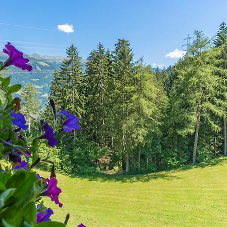 Apartament Wieshof
