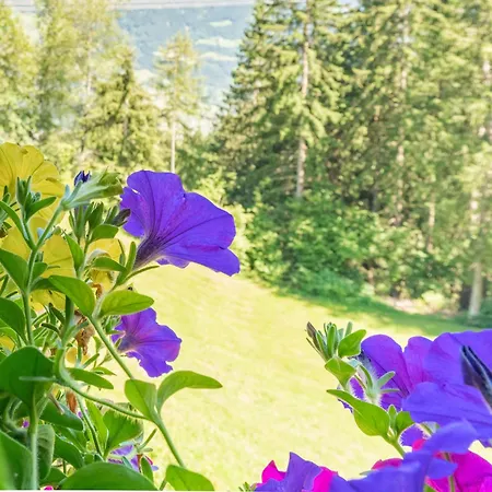 Apartament Wieshof *