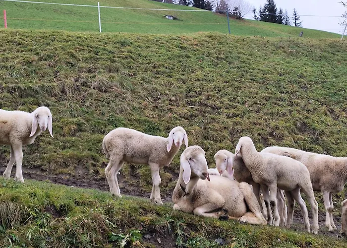 Wieshof * Kaltenbach