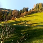 Wieshof Διαμέρισμα Kaltenbach
